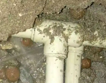 白水测漏水多少钱