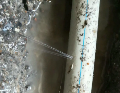 白水测漏水哪家好