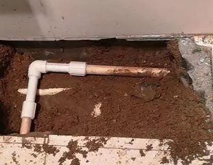 白水测漏水哪家好