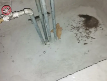 白水卫生间测漏水价格明细