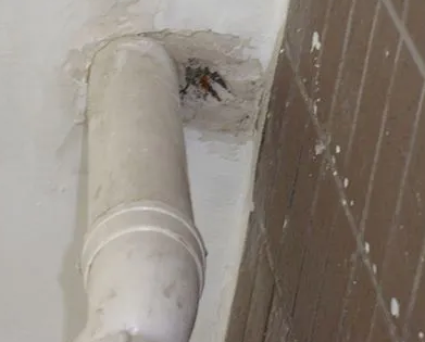 白水漏水检测哪家好